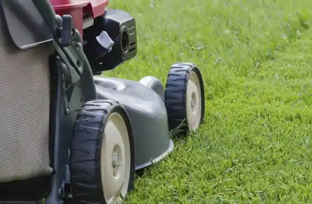 AMAN Lawn Care Services, LLC lawn care business photo 2