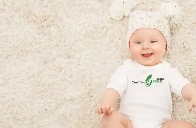 Certified Green Team carpet cleaning business photo 2