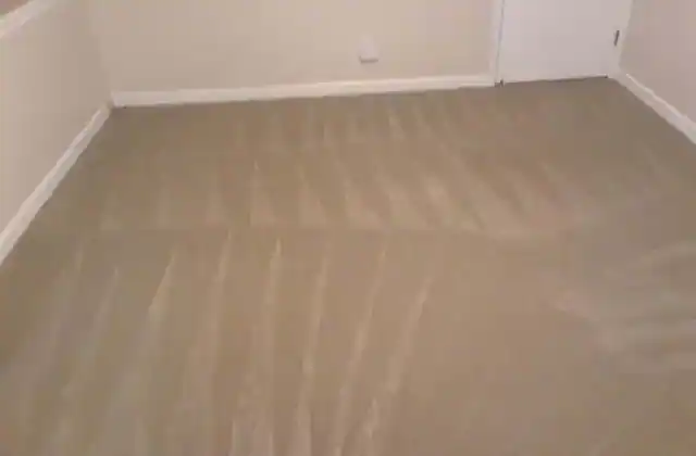 DONS CARPET CLEANER carpet cleaning business photo 1
